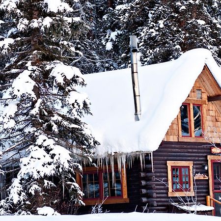 Pioneer Guest Cabins Crested Butte Bagian luar foto