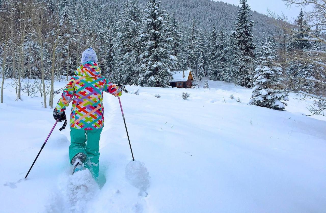 Pioneer Guest Cabins Crested Butte Bagian luar foto
