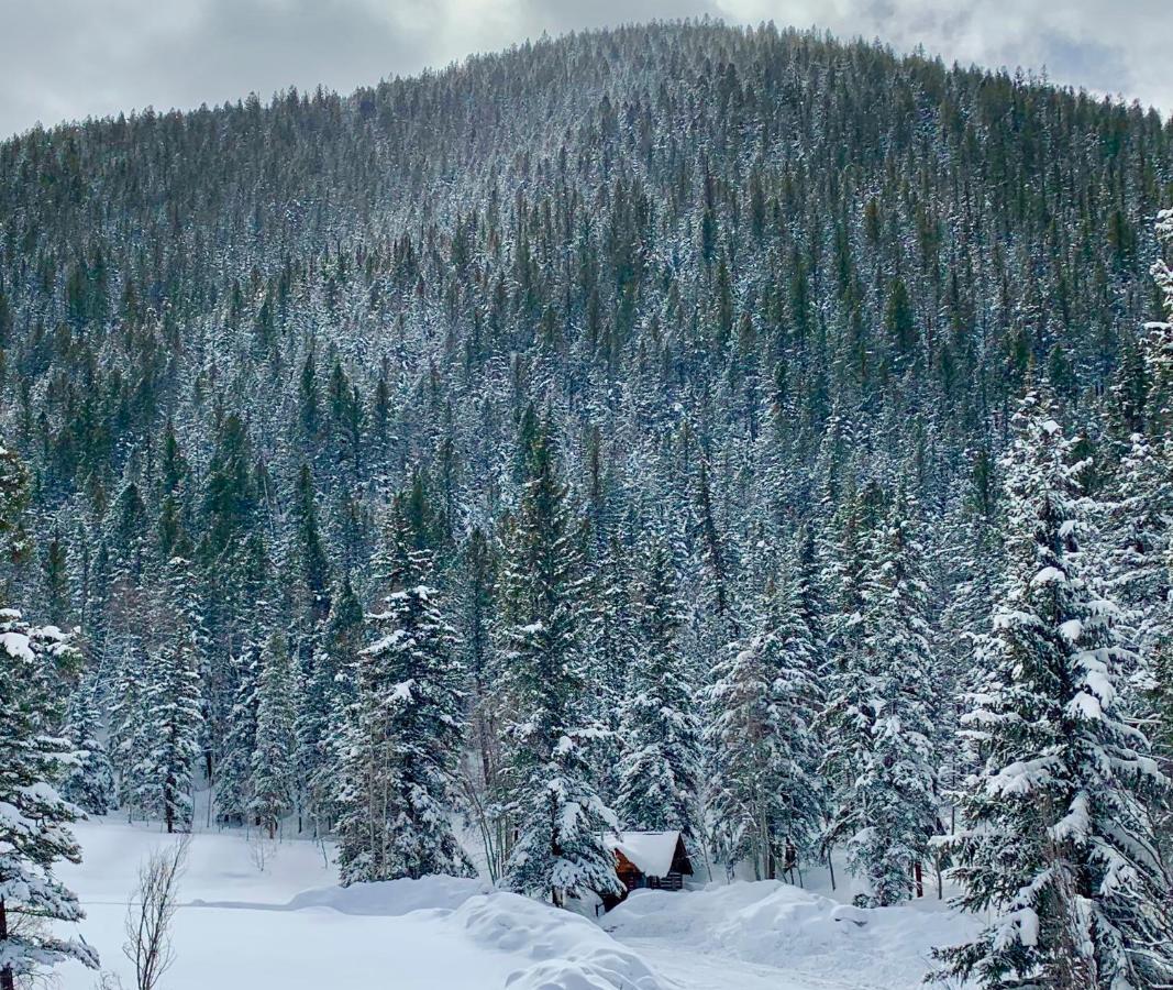 Pioneer Guest Cabins Crested Butte Bagian luar foto