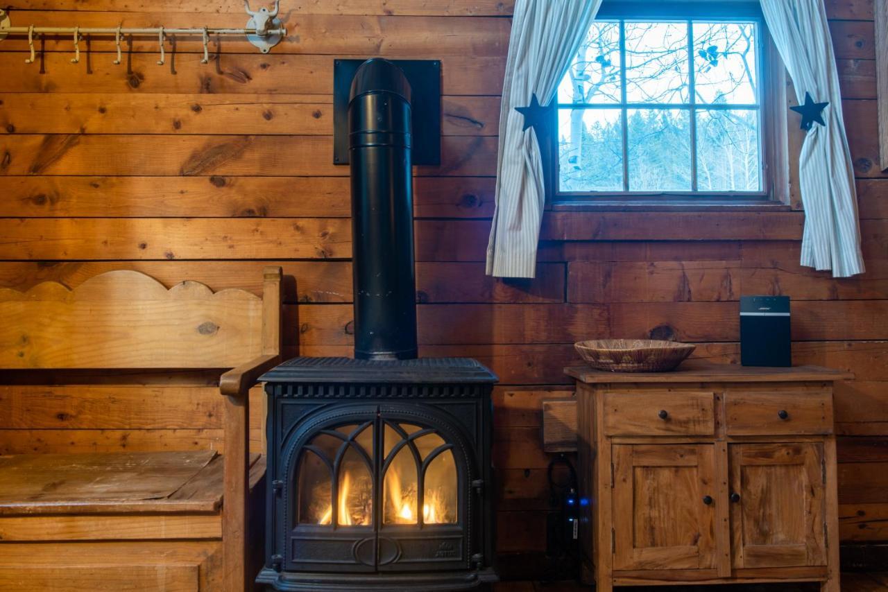 Pioneer Guest Cabins Crested Butte Bagian luar foto