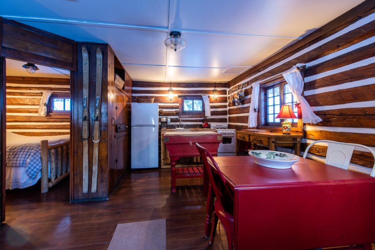 Pioneer Guest Cabins Crested Butte Bagian luar foto