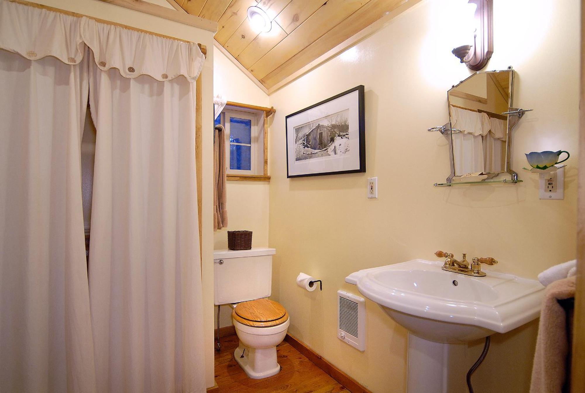 Pioneer Guest Cabins Crested Butte Bagian luar foto